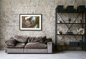 Photo of Alto Flute. Signed Limited Edition Museum Quality Print. - Giclée Museum Quality Print - Architecture In Music