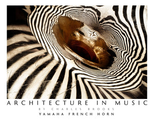 Photo of Yamaha 867d French Horn, Part 2. High Quality Poster. - Giclée Poster Print - Architecture In Music